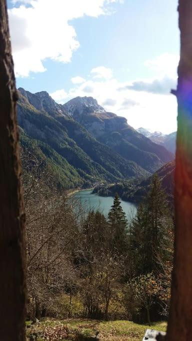 Ferienwohnung Mountain Alleghe Exterior foto